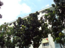Blk 250 Yishun Avenue 9 (Yishun), HDB 4 Rooms #320792